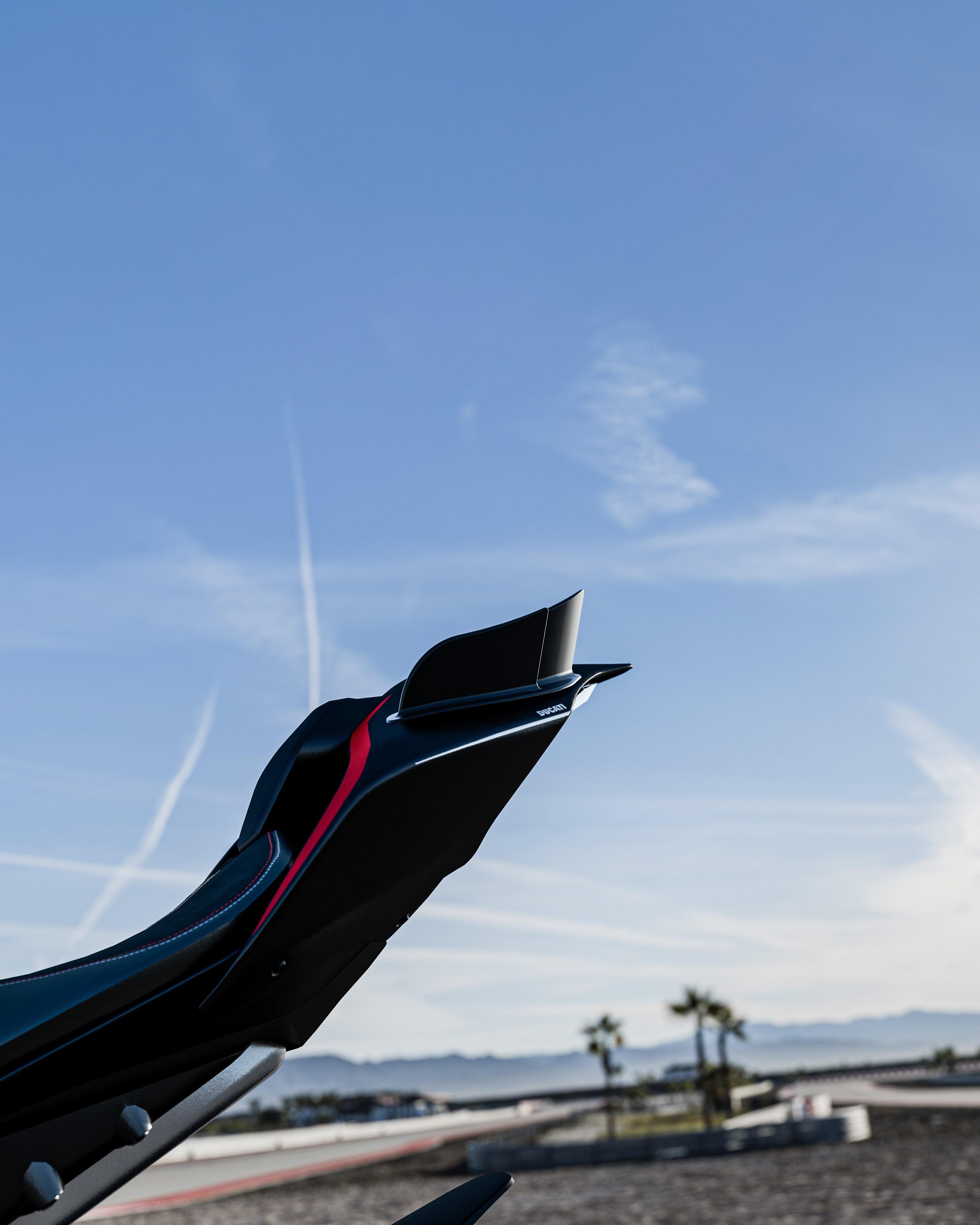 Ducati Panigale V4 (2018–2024) - RBM Tail Fins