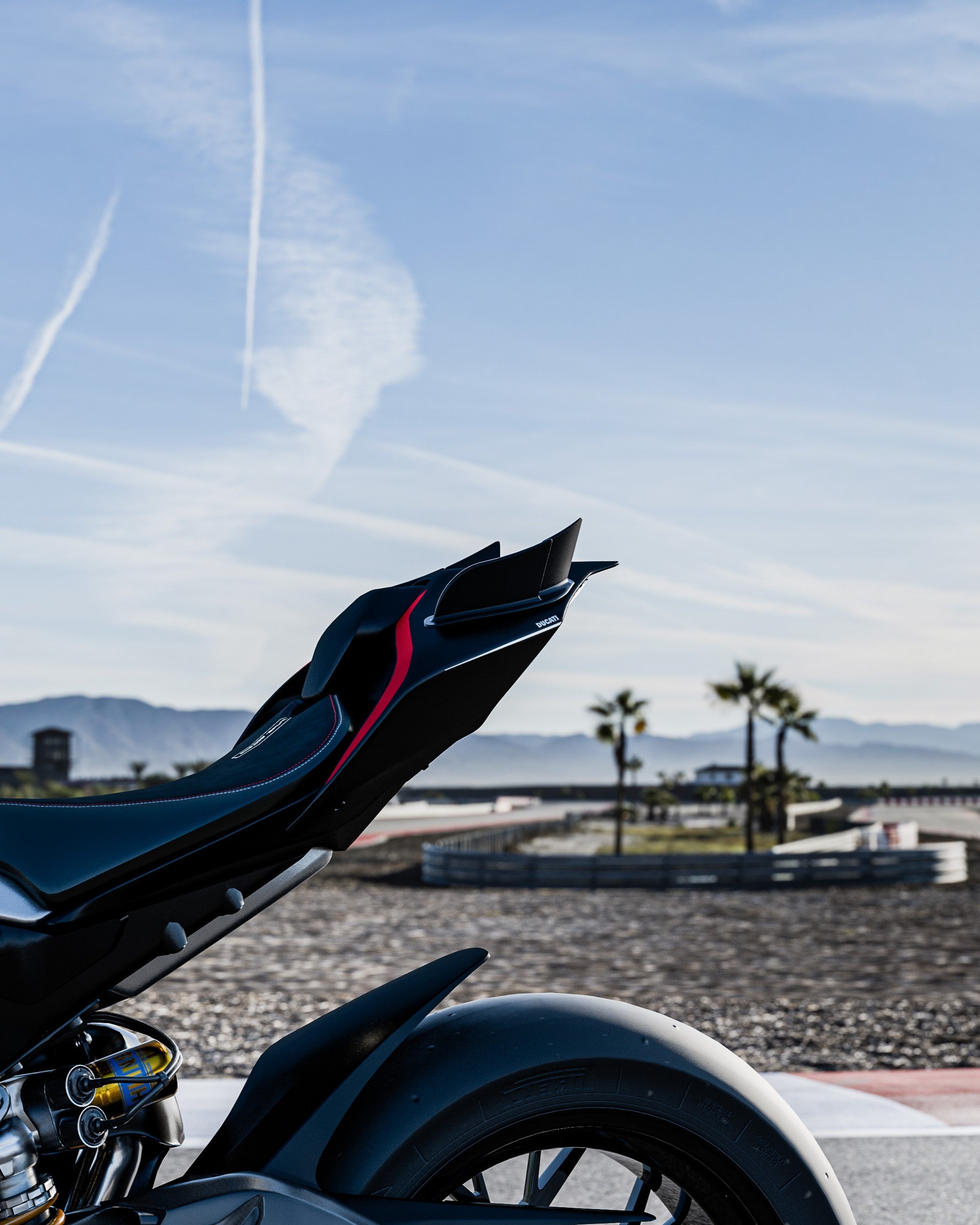 Ducati Panigale V4 (2018–2024) - RBM Tail Fins