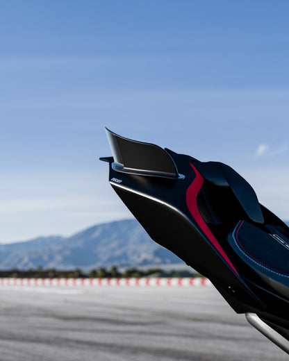 Ducati Panigale V4 (2018–2024) - RBM Tail Fins