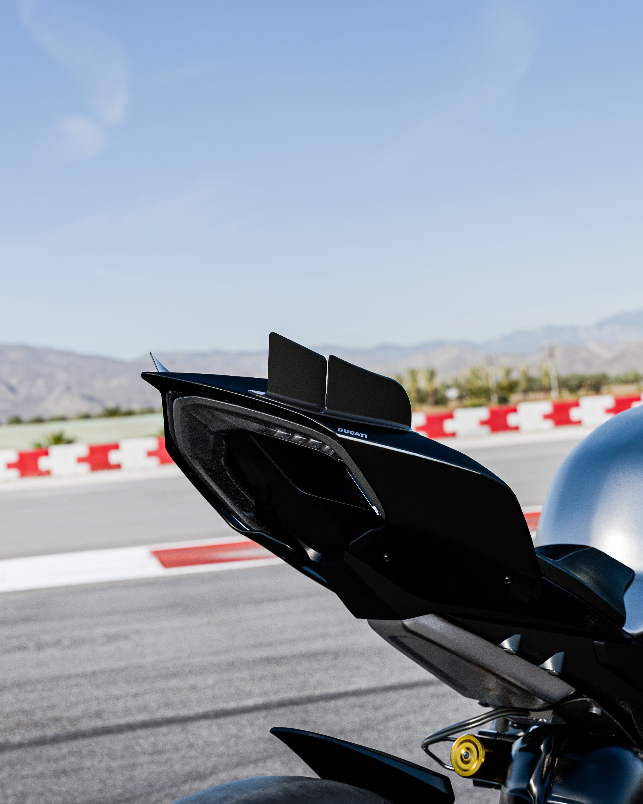 Ducati Panigale V4 (2018–2024) - RBM Tail Fins